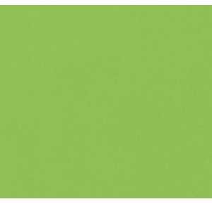 JERSEY - napínacia plachta ZELENÁ Obrázok pre JERSEY - napínacia plachta ZELENÁ